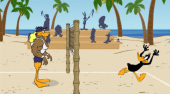 Tricky Duck Volleyball | Free online game | Mahee.com