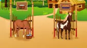 Horsecare Aprendizaje