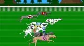 Greyhound Racer