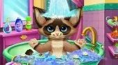 Kitten Bath