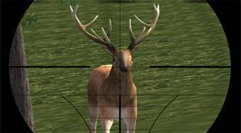 Deer Hunter - online game | Mahee.com