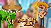 Angry Gran Run: Mexico